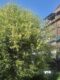 2-Zi.-Whg. in guter Lage, 1. OG, im Rosenheimer Norden! - Ansicht Haus 3