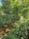 Top gepflegtes EFH in Riedering! Ruhige Lage, Sackgasse!! - angrenzender Bach